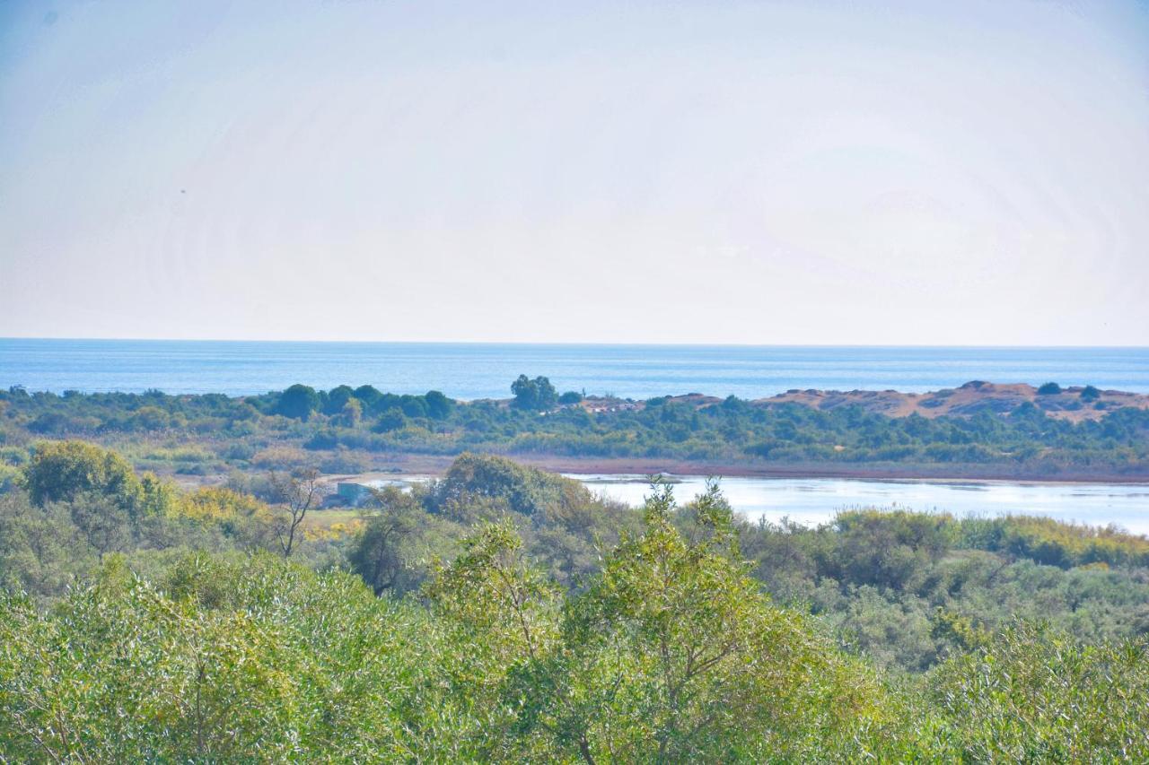 Ninas Cottage Línia المظهر الخارجي الصورة