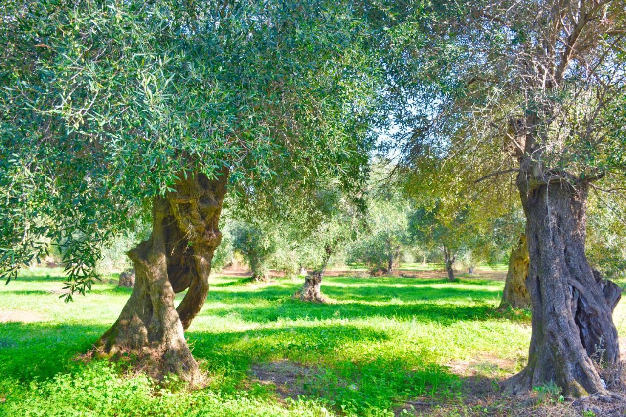 Ninas Cottage Línia المظهر الخارجي الصورة