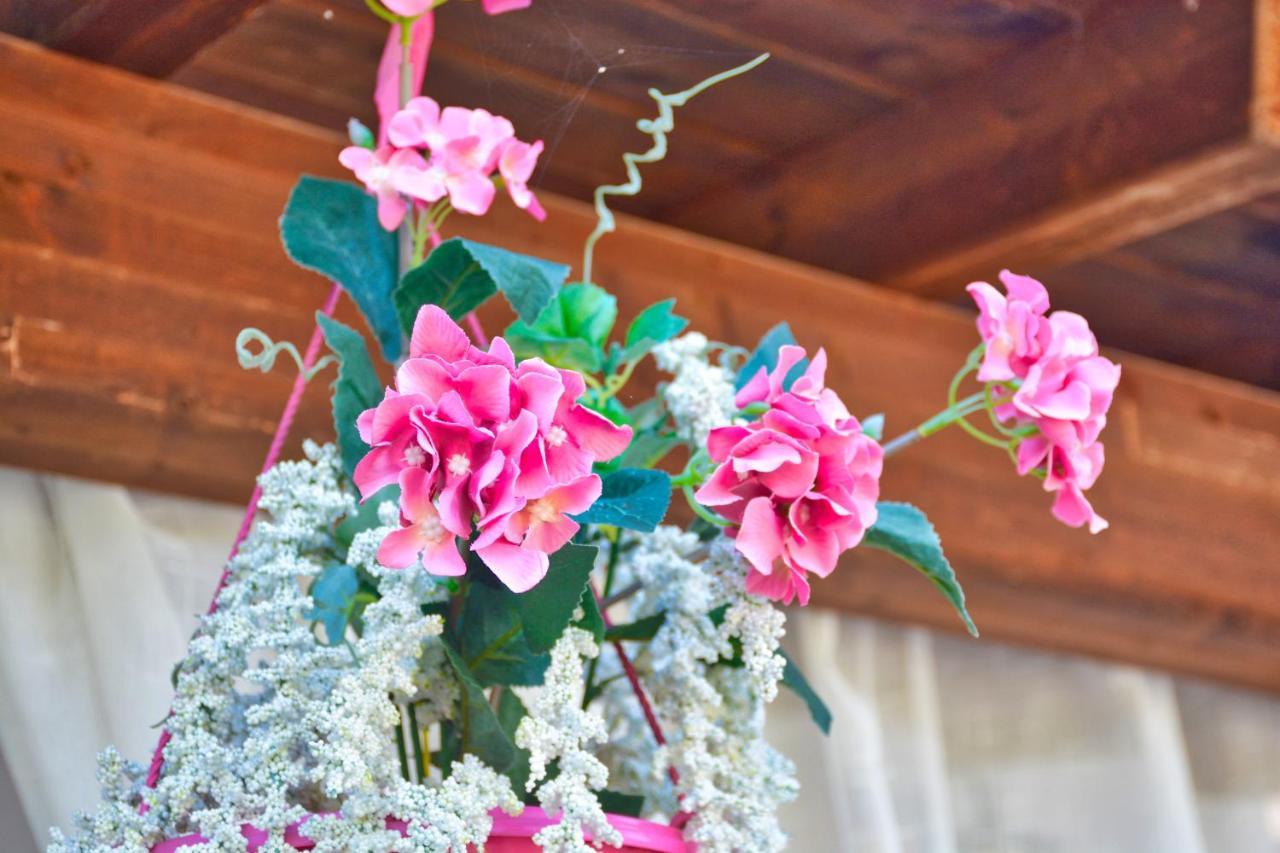Ninas Cottage Línia المظهر الخارجي الصورة